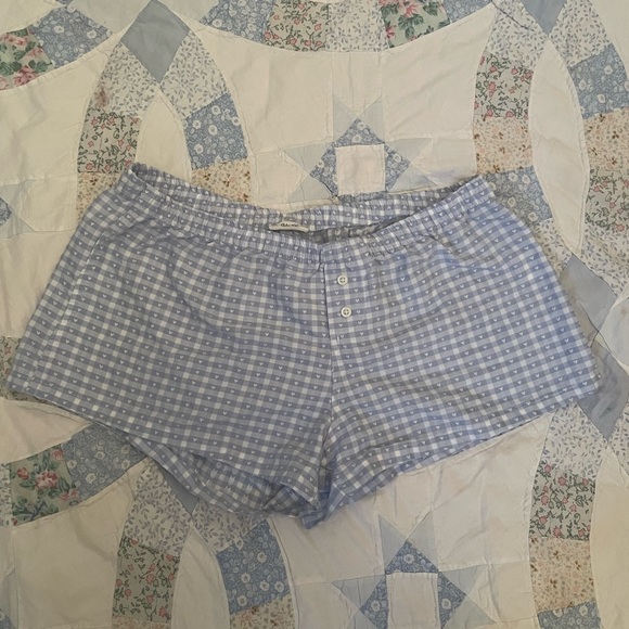 Brandy Melville Pants - Brandy Melville Blue Gingham Heart Shorts